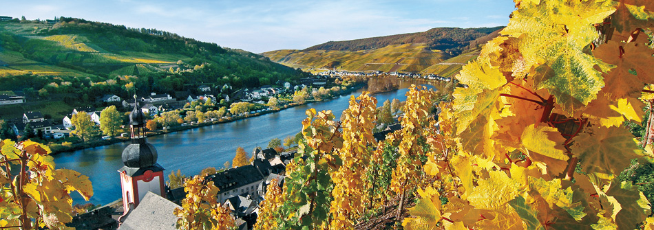 The Enchanting Rhine River