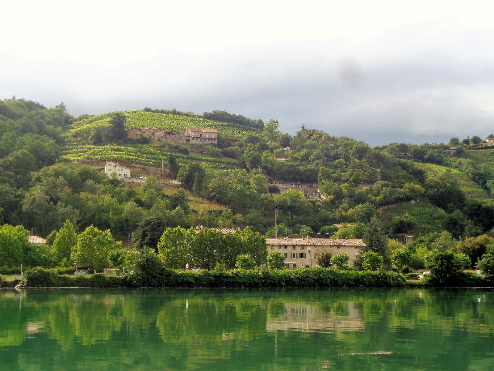 Vienne Riverfront Houses and Vineyards